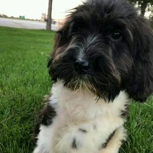 Meet your Posher, Lori